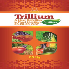 تریلیومTrilium