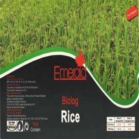 بیولوگ برنج