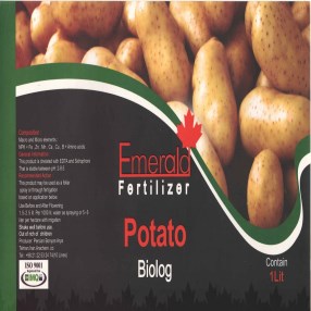 بیولوگ سیب زمینی