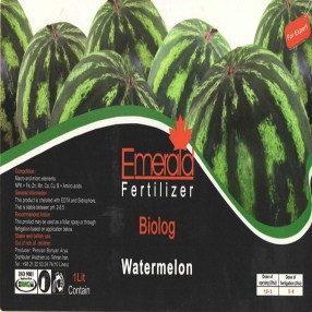 بیولوگ هندوانه