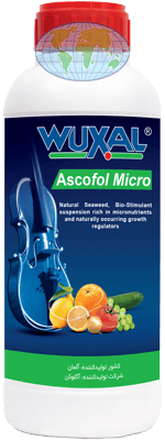 وکسال آسکوفول میکرو